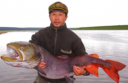 A Yakutszk folyó legjobb halászata a Sakha köztársaság