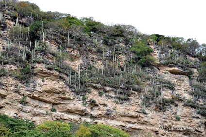 Mexic Canyon del Sumidero - un punct de reper natural al statului