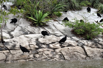 Mexic Canyon del Sumidero - un punct de reper natural al statului