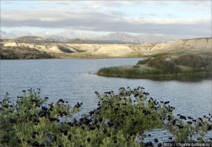Lacul mort Issyk-Kul (Balykchy, Kirghizia)