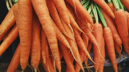 Soiurile de morcovi, cultivarea, plantarea și îngrijirea