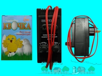 Prezentare generală cu termostate video pentru regulatoare electronice și digitale pentru incubatoare