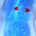 Операцията за отстраняване на тумор на надбъбречните жлези - и прогноза posledsvy