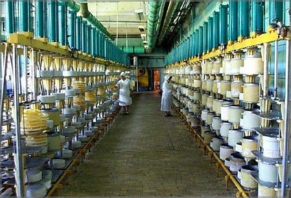 Organizarea producției de brânză (bazată pe exemplul unei varietăți solide) este una promițătoare și constantă