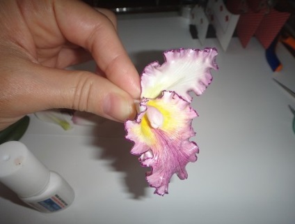 Orhidee din clasa de masterat de argilă polimerică detaliată