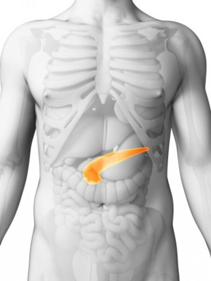 Zab a hasnyálmirigy betegségek kezelésére és megelőzésére (pancreatitis és mások