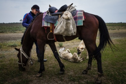 Oile sunt viața mea - lucrurile astea