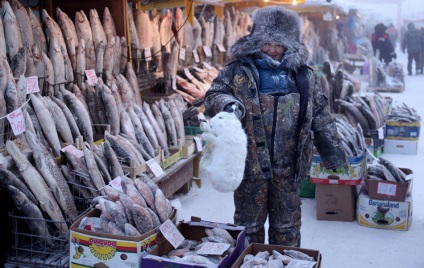 Oimyakon, ahogy a hideg sarkában élnek (19 kép)