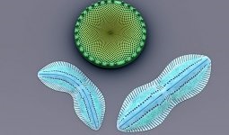 Szén-dioxid feldolgozása metanolban, technológus