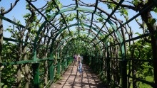 Drumul Peterhof Pulkovo-Peterhof, grădina superioară, palatul mare