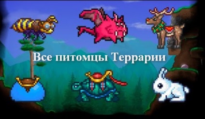 Animale de companie în lista de terariu a tuturor animalelor de companie, terraria (terraria)