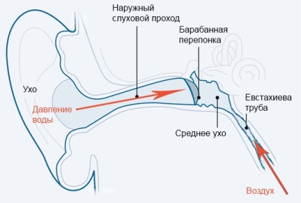 Portalul subacvatic al lui tetis este vorba despre manevra de frenezie pentru freedivers