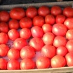 Tomate de miros de zmeură - o varietate de creștere în seră și grădină de legume