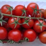 Tomate de miros de zmeură - o varietate de creștere în seră și grădină de legume