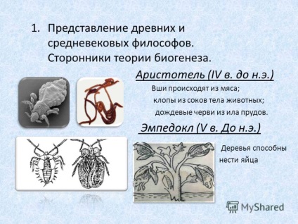 Prezentare pe tema apariției biologiei vieții pe pământ, gradul 10