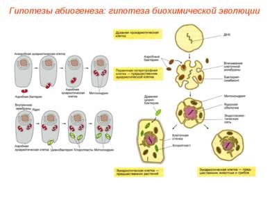 Prezentare - apariția vieții pe pământ - descărcare gratuită