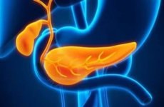 Cauzele pancreatitei și originea acesteia