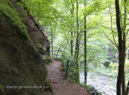 Obiective naturale ale Republicii Cehe îmbrăcăminte riegrova peste râu