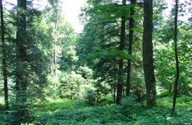 Parcul Natural Medvednica, Zagreb