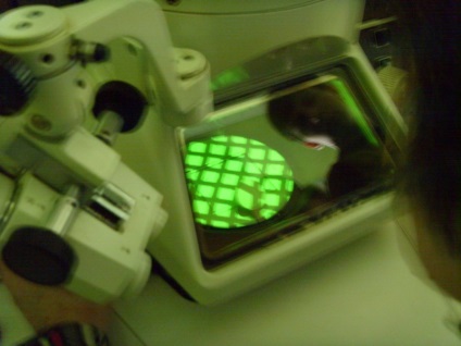 Microscop electronic translucid