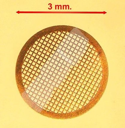 Microscop electronic translucid