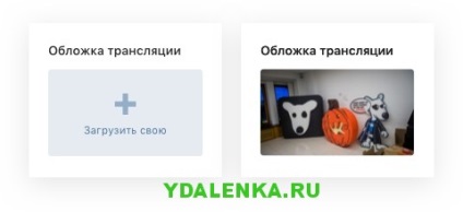 Transmisiuni live de la un computer în vkontakte