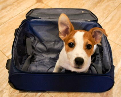 Călătorind cu o valiză mică