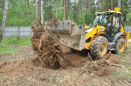 Ștergeți site-ul copacilor și arbuștilor, prețul serviciului pentru curățarea și curățarea site-ului