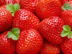 Răsaduri de căpșuni cum să alegeți un soi atunci când se plantează semințe și alte sfaturi utile pentru creștere