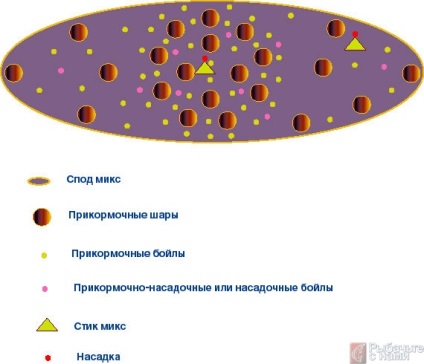 Fisher cu noi »1