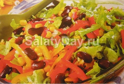 Saláta bab konzervált - gyorsétel recept fotókkal és videókkal