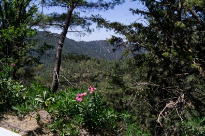 A Troodos, a golfstrim turisztikai ügynöksége, Ulyanovsk szíve