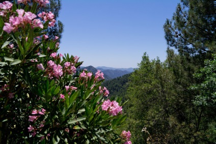 A Troodos, a golfstrim turisztikai ügynöksége, Ulyanovsk szíve