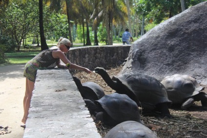 Seychelles este un sălbatic din Ekaterinburg