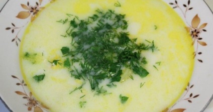 Supă de brânză cu rețete simple de pui cu fotografie pas cu pas