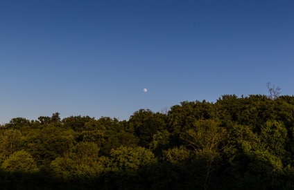 Natura fabuloasă a canionului Denishi (ucraina, regiunea Jitomir)