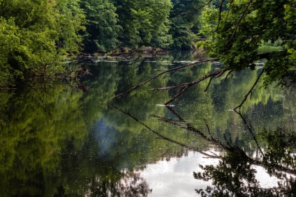 Natura fabuloasă a canionului Denishi (ucraina, regiunea Jitomir)