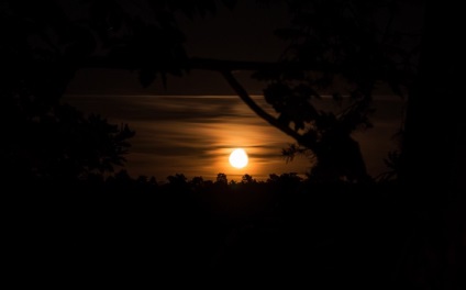 Natura fabuloasă a canionului Denishi (ucraina, regiunea Jitomir)