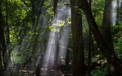 Natura fabuloasă a canionului Denishi (ucraina, regiunea Jitomir)