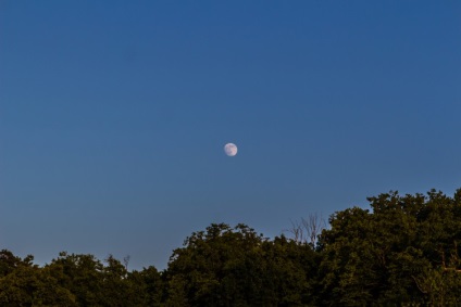 Natura fabuloasă a canionului Denishi (ucraina, regiunea Jitomir)