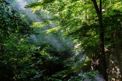 Natura fabuloasă a canionului Denishi (ucraina, regiunea Jitomir)