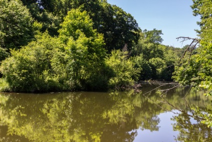 Natura fabuloasă a canionului Denishi (ucraina, regiunea Jitomir)