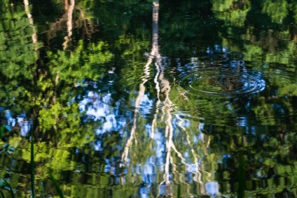 Natura fabuloasă a canionului Denishi (ucraina, regiunea Jitomir)