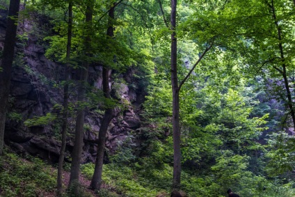 Natura fabuloasă a canionului Denishi (ucraina, regiunea Jitomir)