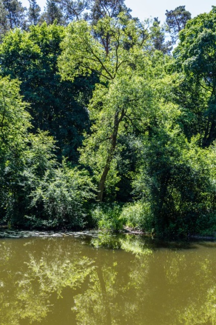 Natura fabuloasă a canionului Denishi (ucraina, regiunea Jitomir)