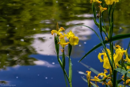 Natura fabuloasă a canionului Denishi (ucraina, regiunea Jitomir)