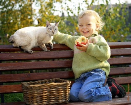 Conținutul pisicilor copiilor, protecția pisicilor, pisicile sufla zvonurile copiilor, îi învață pe copii să aplice pisica