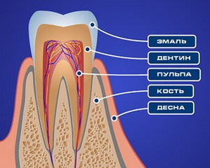 Sfaturi ale dentistului - fizica