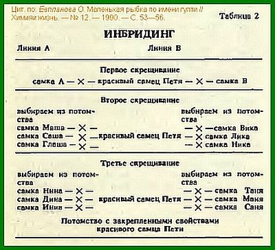 Sisteme de selecție standard pentru gupieni