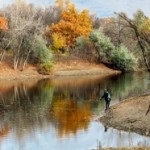 Старовинне заливне з луски